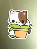 Cat in Plant Magnet